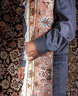 قالی لول در قالیشویی قیطریه 